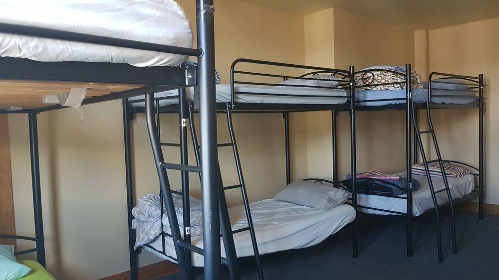הוסטל ולינגטו Wild Zebra Backpackers מראה חיצוני תמונה